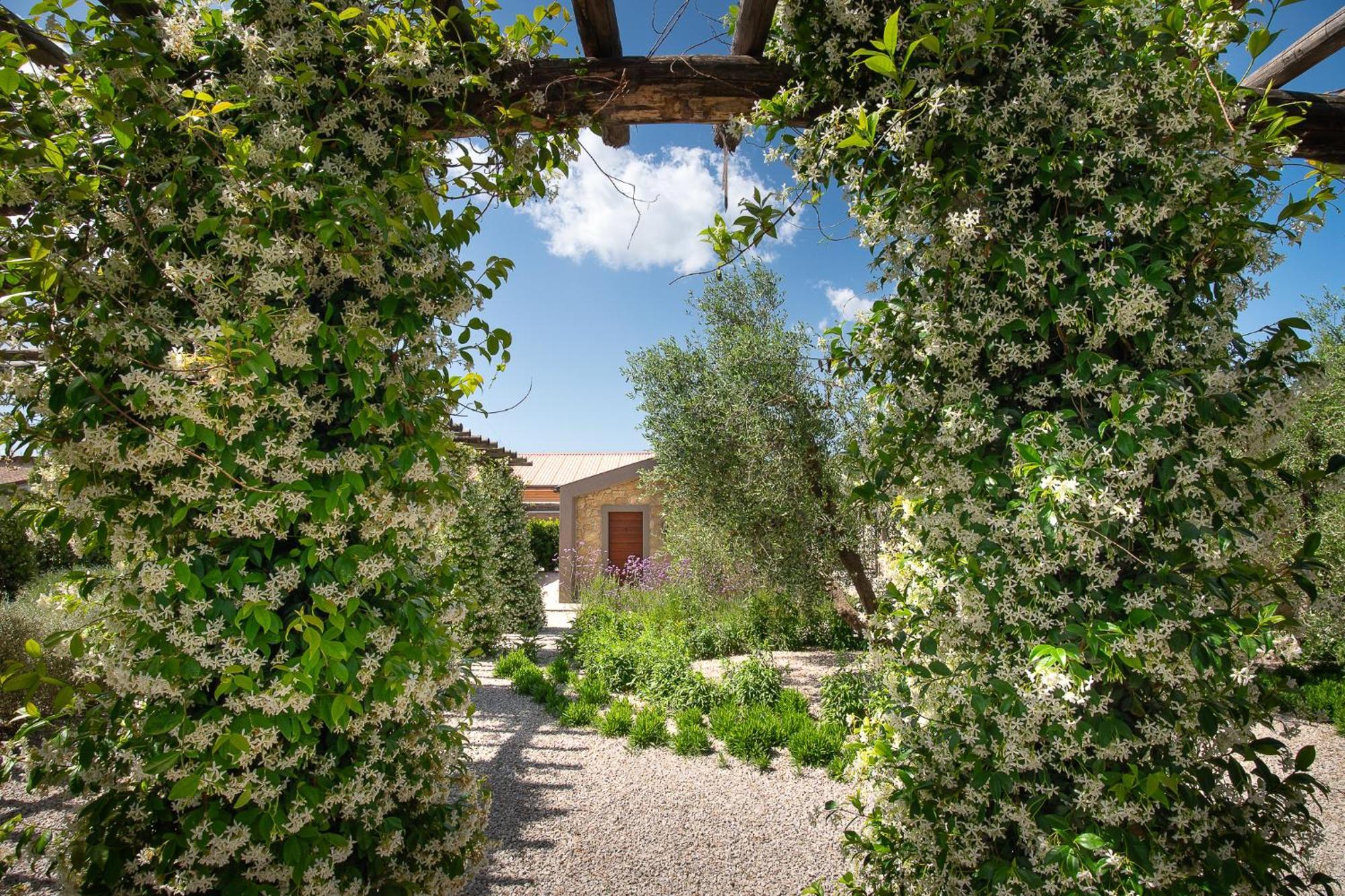 Agriturismo Resort Il Foionco Massa Marittima Buitenkant foto